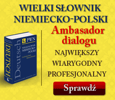 Wielki s�ownik niemiecko-polski PWN